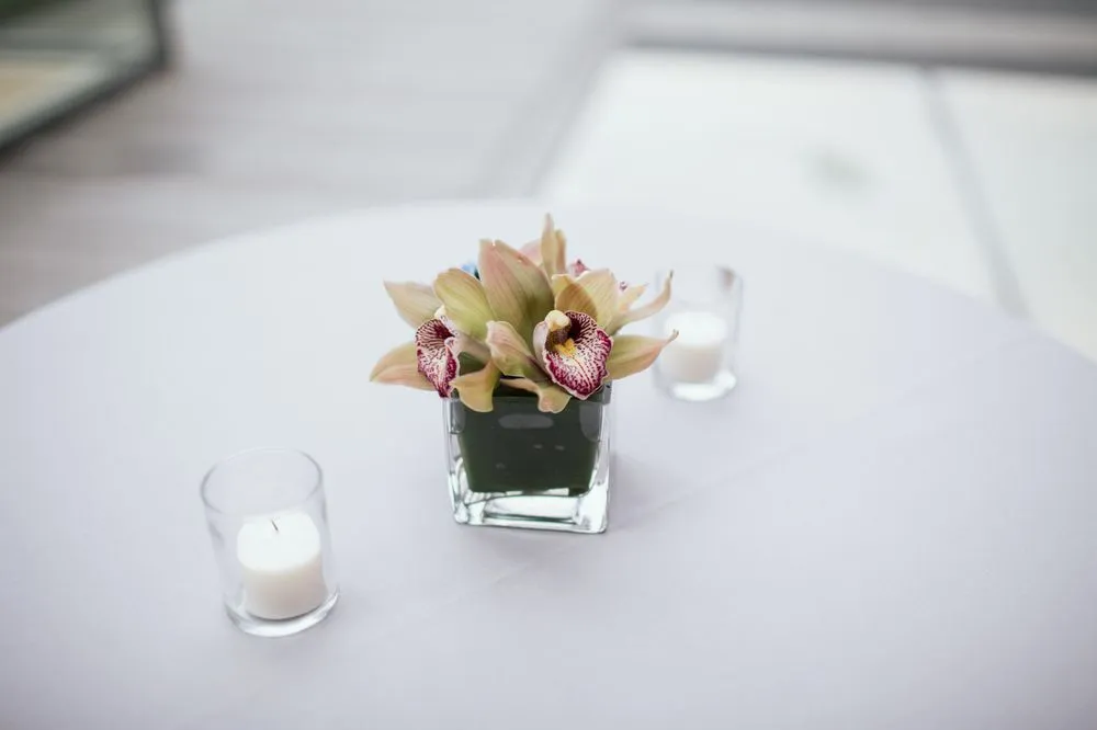 Local yard maintenance in New York, NY - Sterling Design Events and Planning