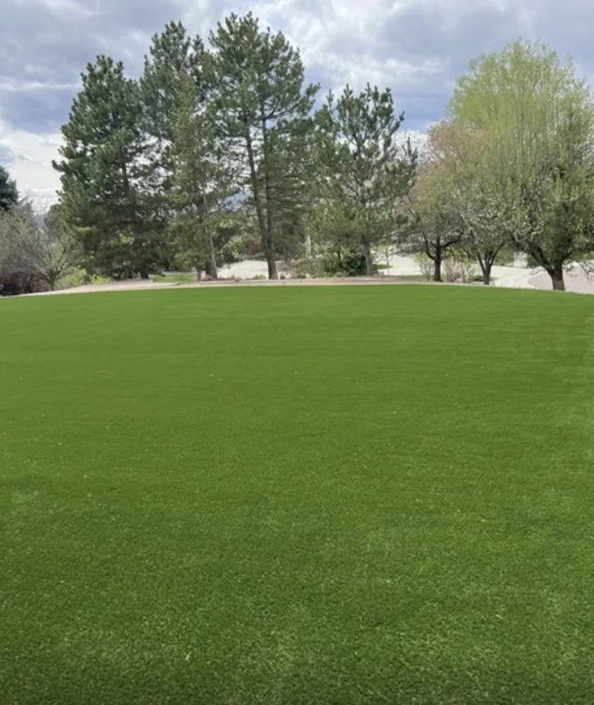 Expert yard maintenance in Denver, CO by Sterling Exteriors