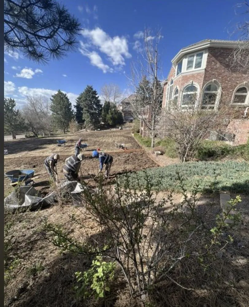 Top-rated outdoor landscaping in Denver, CO - Sterling Exteriors