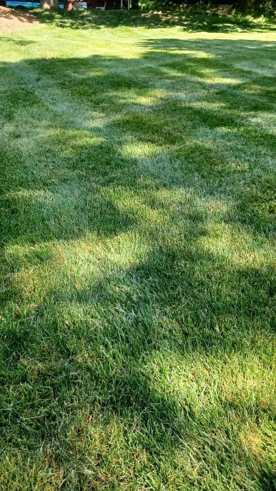 Expert garden landscaping near you in Doylestown, PA by Sterling Green Lawn