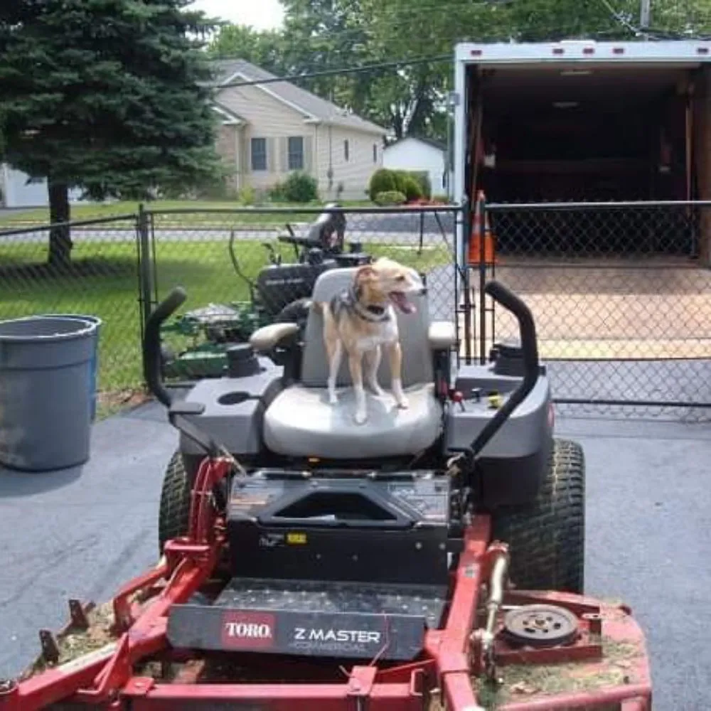 Custom yard cleanup service experts serving Doylestown, PA - Sterling Green Lawn