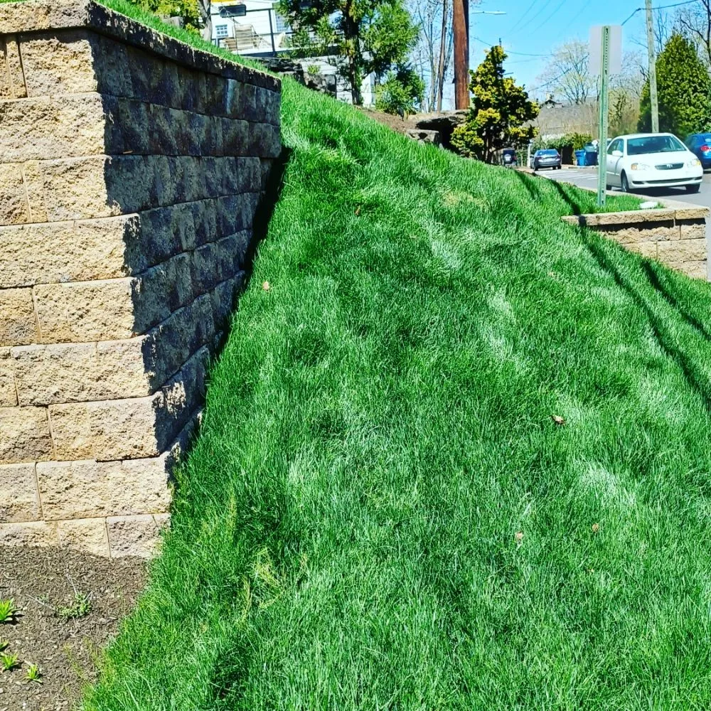 Top-rated residential landscaping in Doylestown, PA - Sterling Green Lawn