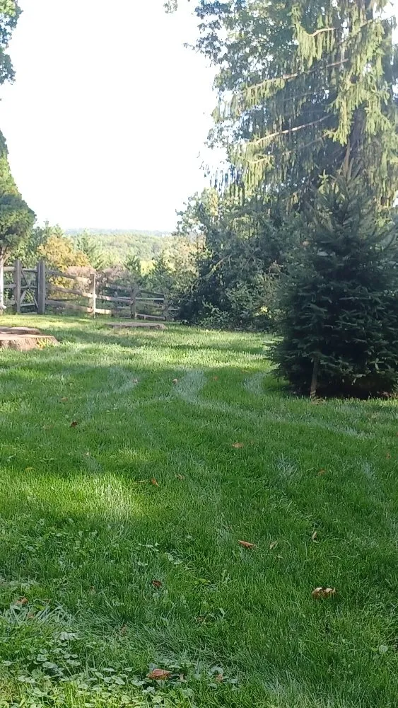 Expert landscaping services for residential properties in Doylestown, PA by Sterling Green Lawn