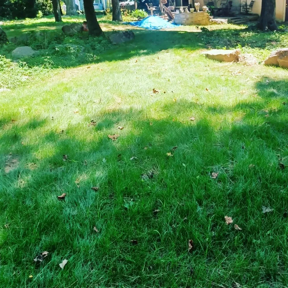 Custom yard maintenance in Doylestown, PA by Sterling Green Lawn