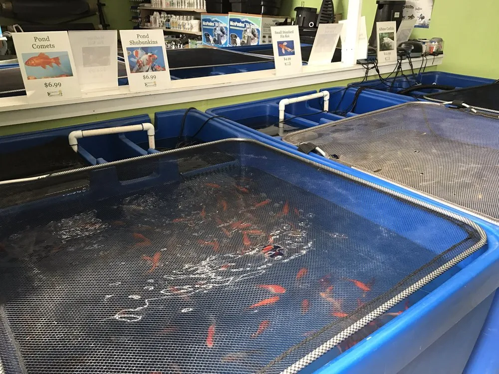 Top-rated residential landscaping in Sterling, MA by Sterling Greenery