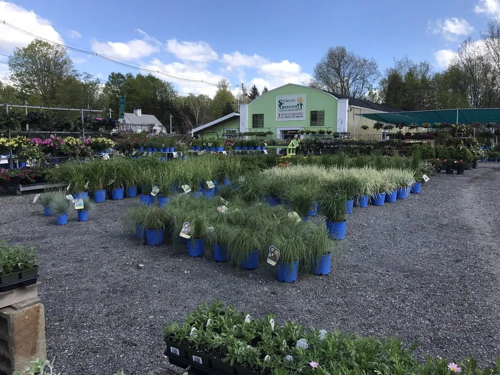 Trusted residential landscaping in Sterling, MA - Sterling Greenery