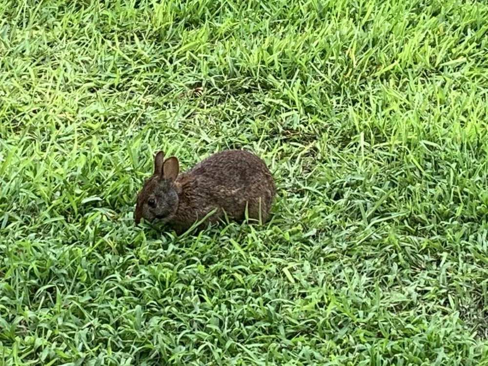 Affordable residential landscaping for outdoor upgrades in Gorham, ME by Sterling Insect & Lawn Control