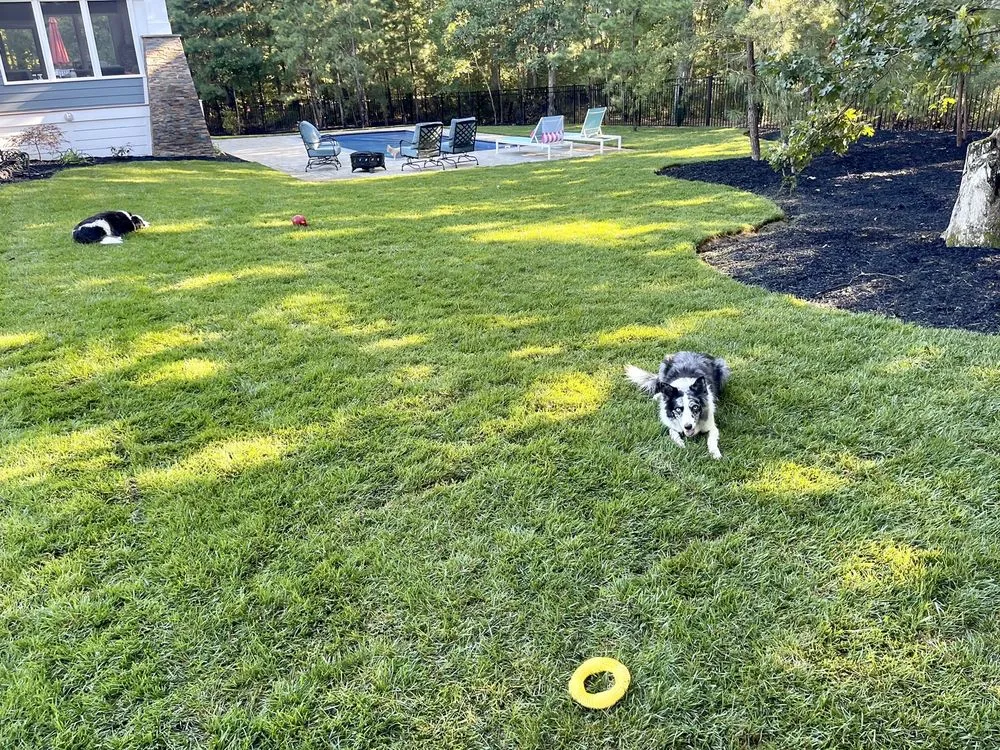 Expert residential landscaping in Cape May Court House, NJ by Sterling Irrigation & Landscape