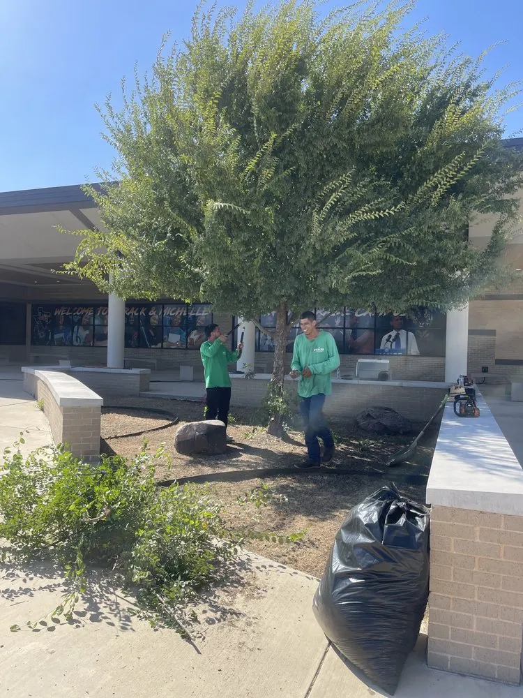 Professional yard cleanup service with custom design in Dallas, TX by Sterling Landscaping