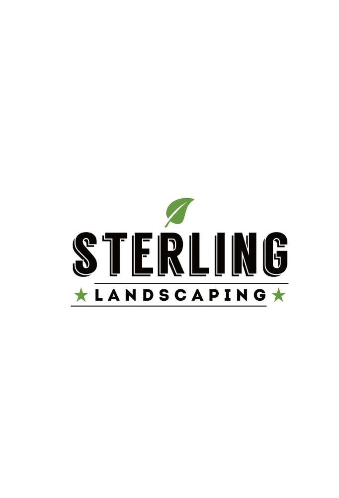 Top-rated outdoor landscaping in Dallas, TX by Sterling Landscaping
