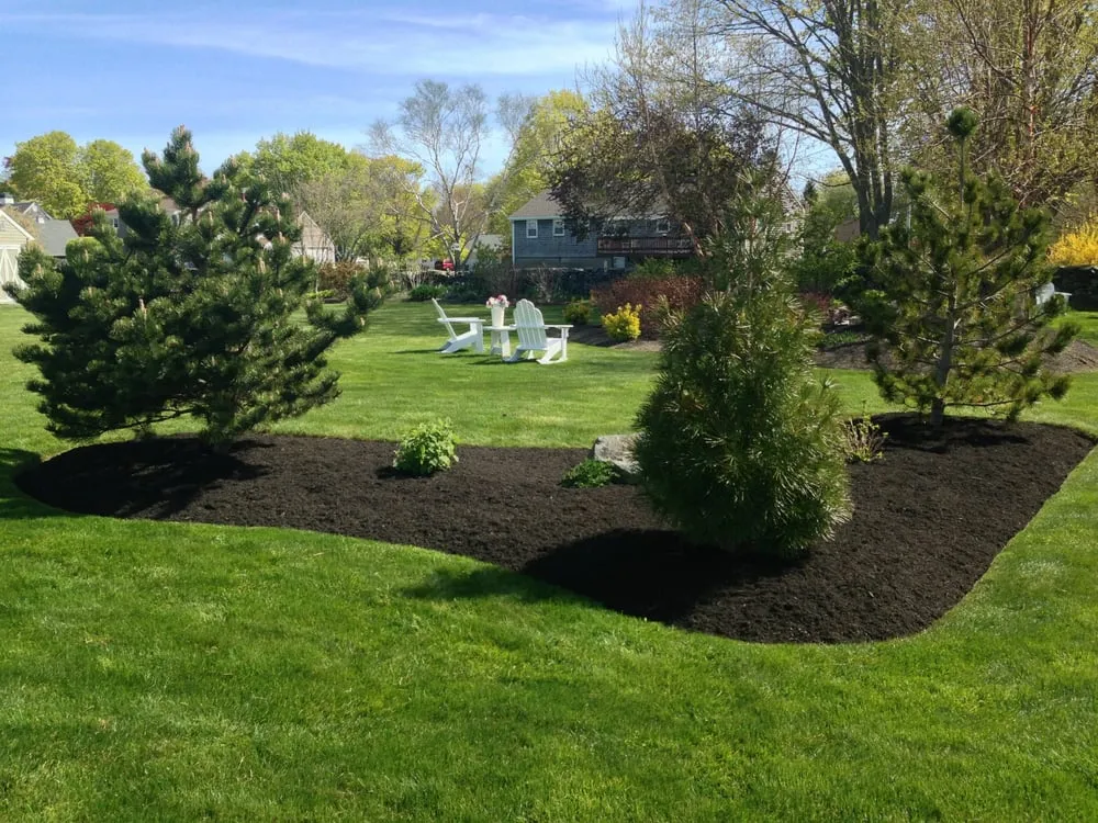 Professional yard maintenance in Middletown, RI by Sterling Lawn & Landscape