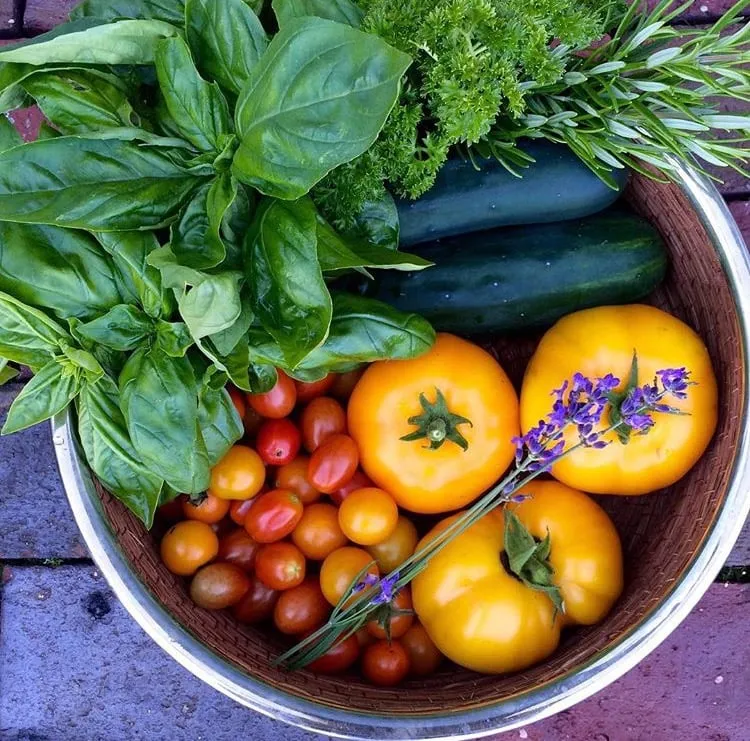 Trusted yard maintenance in Middletown, RI - Sterling Lawn & Landscape