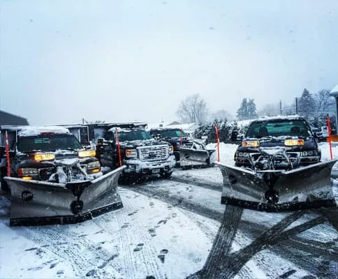 Sterling Lawn & Landscape