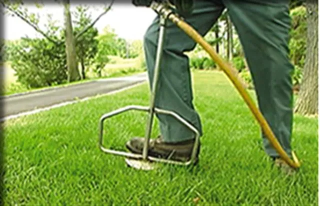 Local landscape design in Speonk, NY - Sterling Tree & Lawn Service