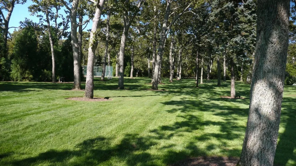 Trusted landscaping services in Speonk, NY - Sterling Tree & Lawn Service