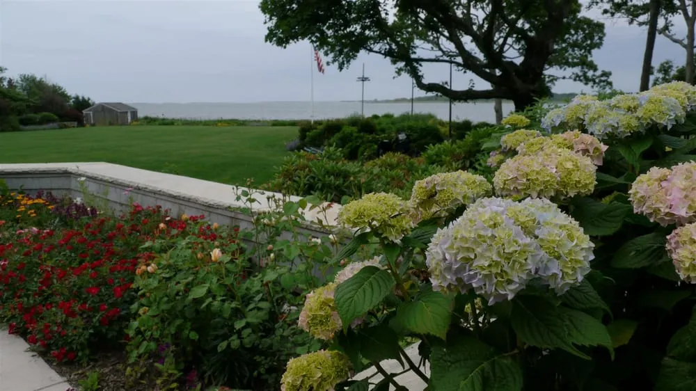 Professional yard cleanup service in Speonk, NY - Sterling Tree & Lawn Service