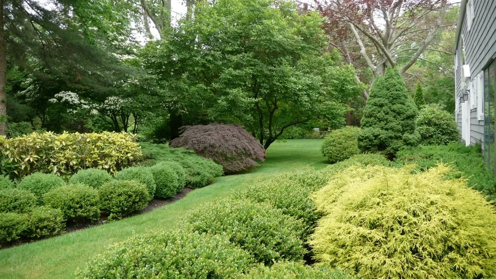 Trusted outdoor landscaping experts serving Speonk, NY - Sterling Tree & Lawn Service