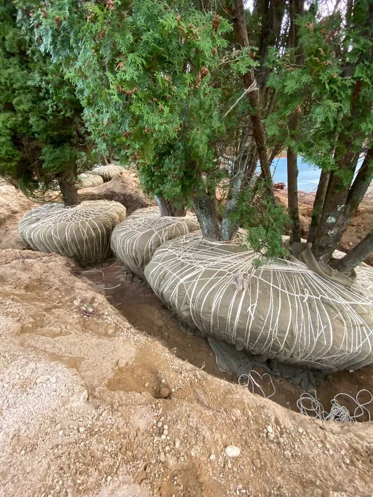 Reliable landscape installation in Speonk, NY - Sterling Tree & Lawn Service