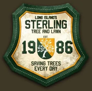 Professional yard cleanup service with custom design in Speonk, NY by Sterling Tree & Lawn Service