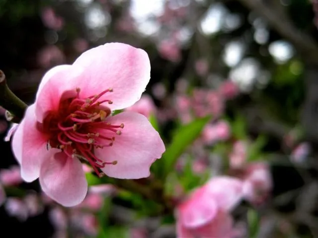 Affordable outdoor landscaping experts serving Speonk, NY - Sterling Tree & Lawn Service