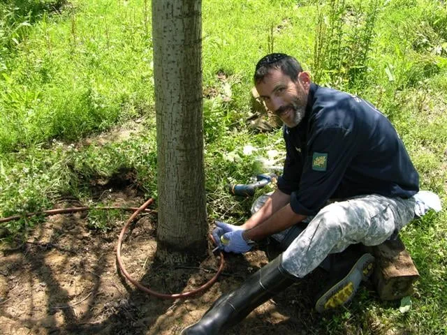 Top-rated garden landscaping with custom design across Speonk, NY - Sterling Tree & Lawn Service
