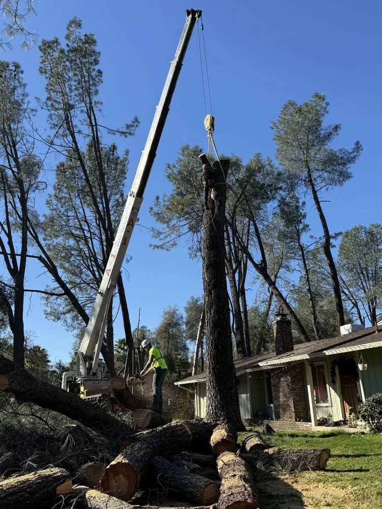 Custom outdoor landscaping near you across Redding, CA - Sterling’s Tree Service