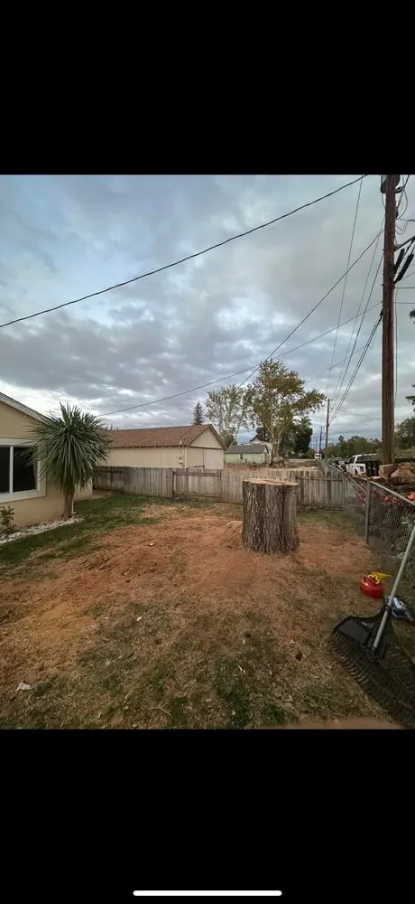 Local landscaping services for residential properties in Redding, CA by Sterling’s Tree Service