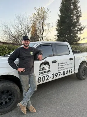 Sterling’s Tree Service Logo