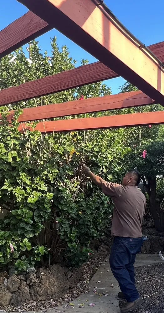 Local yard cleanup service experts serving Paauilo, HI - Sterls Landscaping