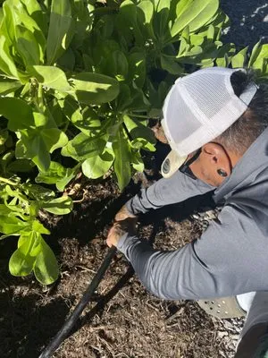 Sterls Landscaping