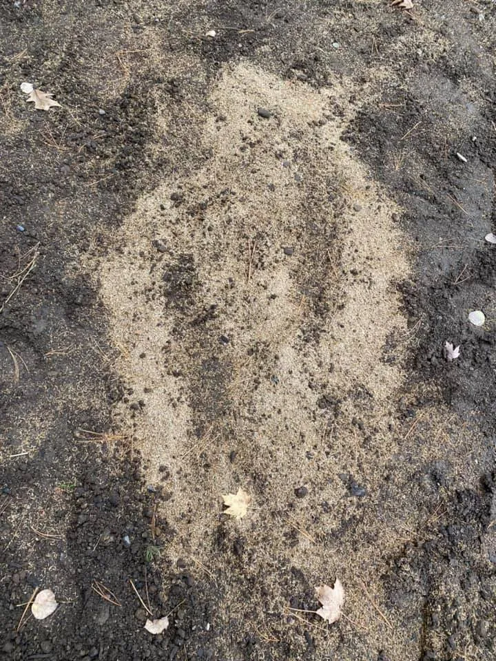 Local lawn care service experts serving Wausau, WI - Stern Lawn N' Landscaping