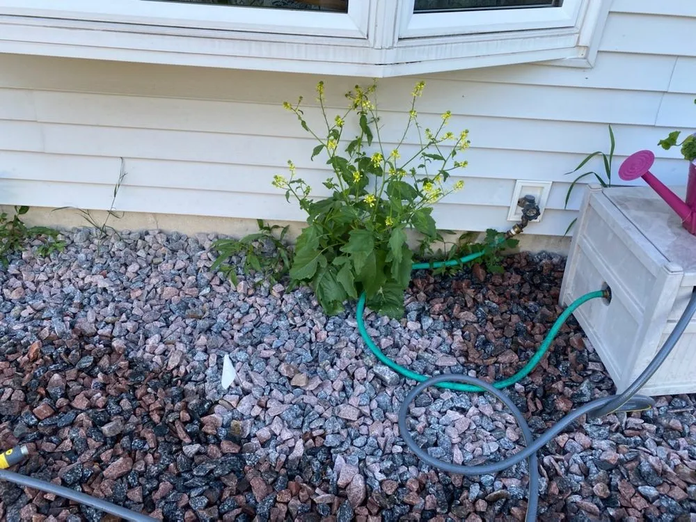 Expert yard cleanup service in Wausau, WI by Stern Lawn N' Landscaping