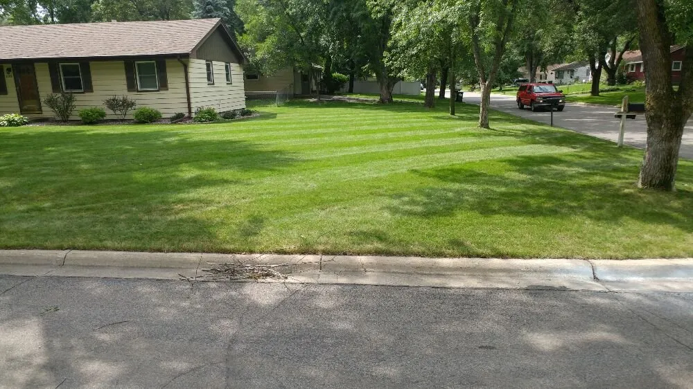 Top-rated yard cleanup service in Andover, MN - Stern's professional lawn care
