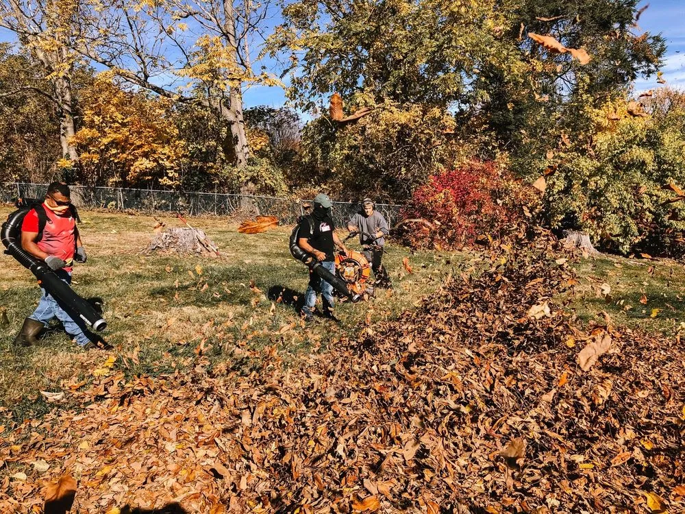 Custom landscape design experts serving Springfield, MA - Stetson’s Down To Earth Landscaping