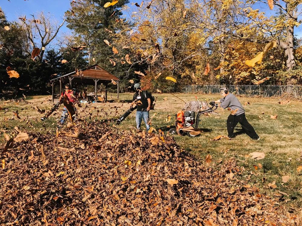 Trusted yard cleanup service in Springfield, MA - Stetson’s Down To Earth Landscaping
