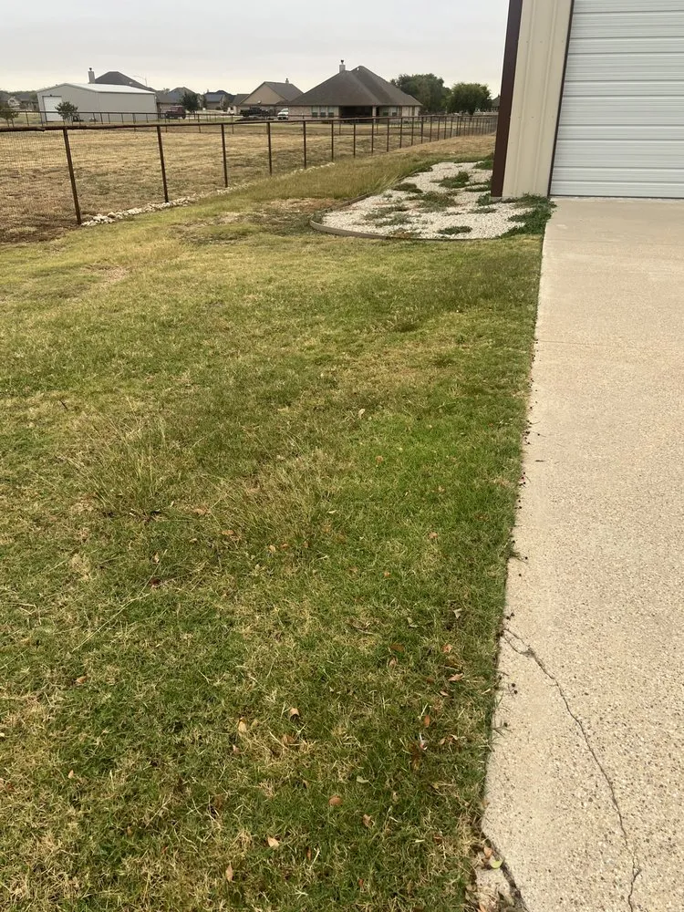 Custom lawn care service experts serving Cresson, TX - Stetty's Lawns