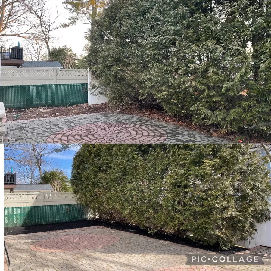 Reliable yard cleanup service for residential properties across Montclair, NJ - Steve & Brother Landscaping Renovators