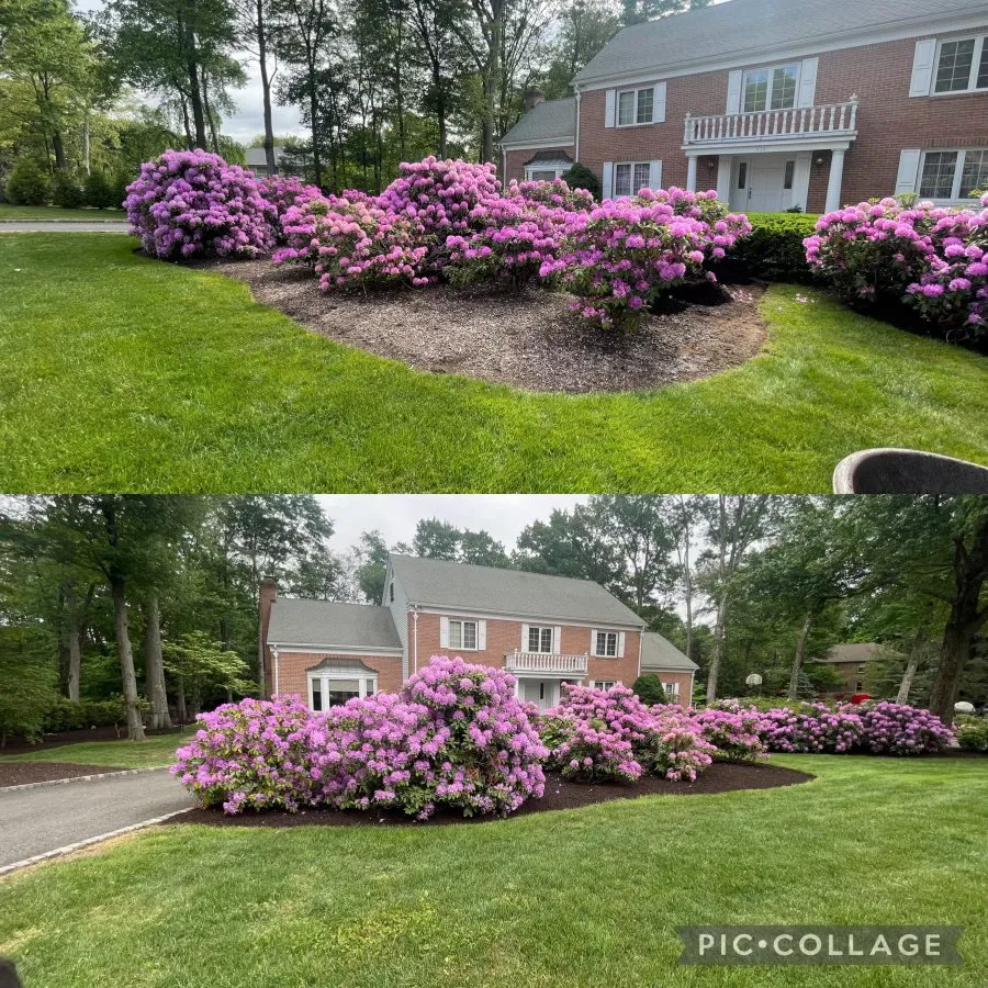 Expert residential landscaping in Montclair, NJ by Steve & Brother Landscaping Renovators