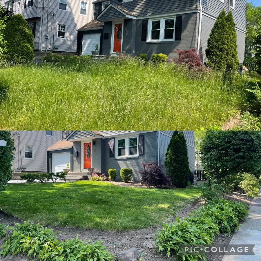 Reliable yard maintenance in Montclair, NJ - Steve & Brother Landscaping Renovators
