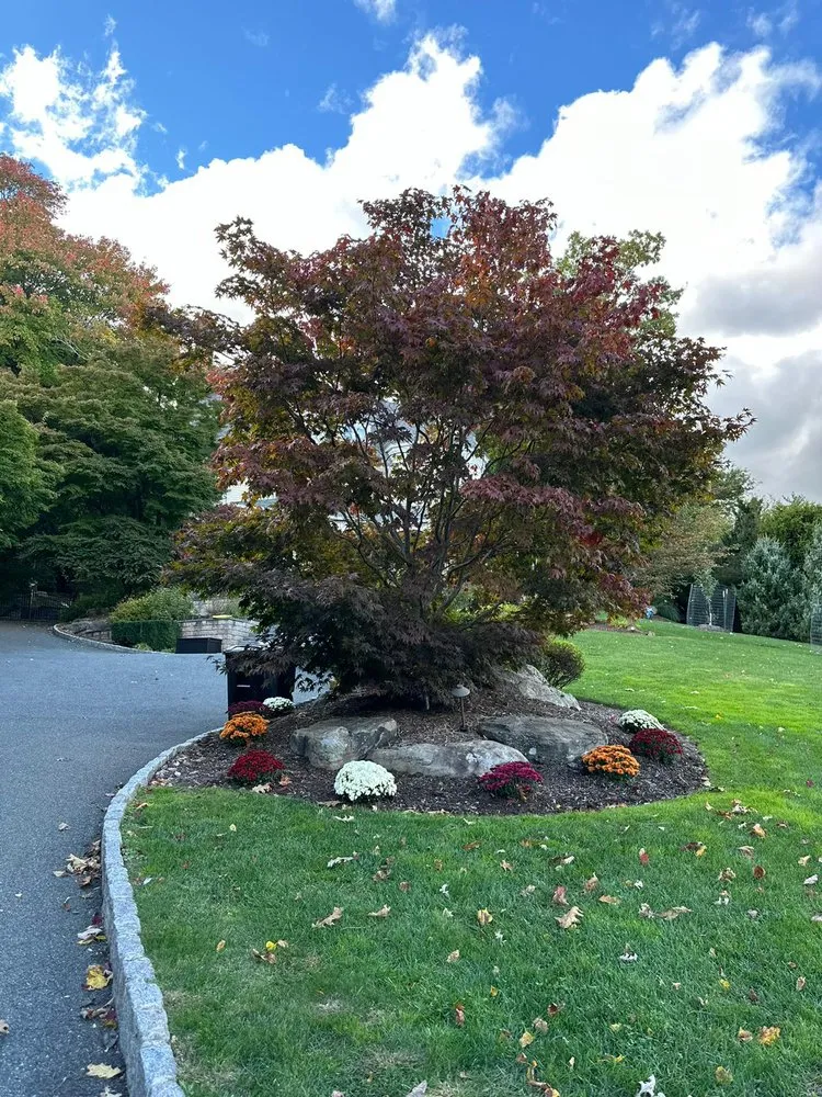 Top-rated garden landscaping experts serving Montclair, NJ - Steve & Brother Landscaping Renovators