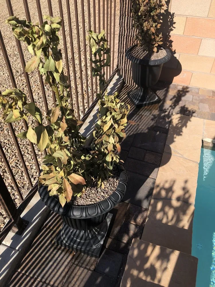 Reliable outdoor landscaping experts serving Las Vegas, NV - Steve Allen Landscaping