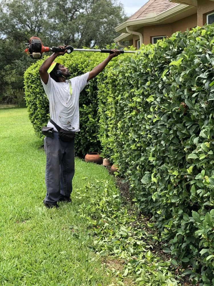 Local yard cleanup service in Spring Hill, FL by Steve And Steven's Lawn Care Service