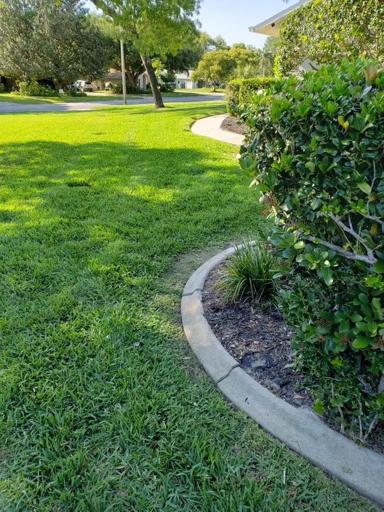 Affordable landscaping services in Spring Hill, FL by Steve And Steven's Lawn Care Service