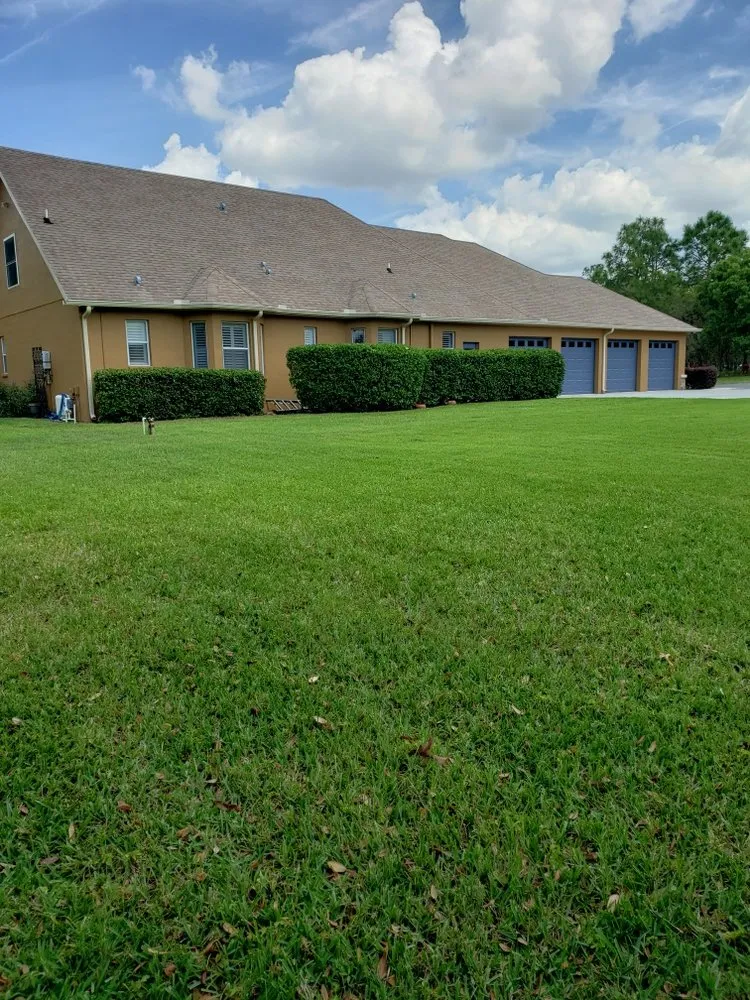 Affordable outdoor landscaping for residential properties in Spring Hill, FL by Steve And Steven's Lawn Care Service