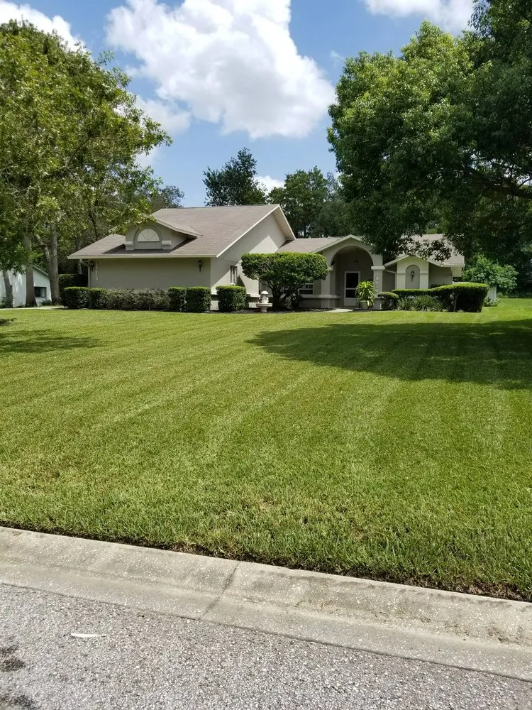 Professional lawn mowing service in Spring Hill, FL by Steve And Steven's Lawn Care Service
