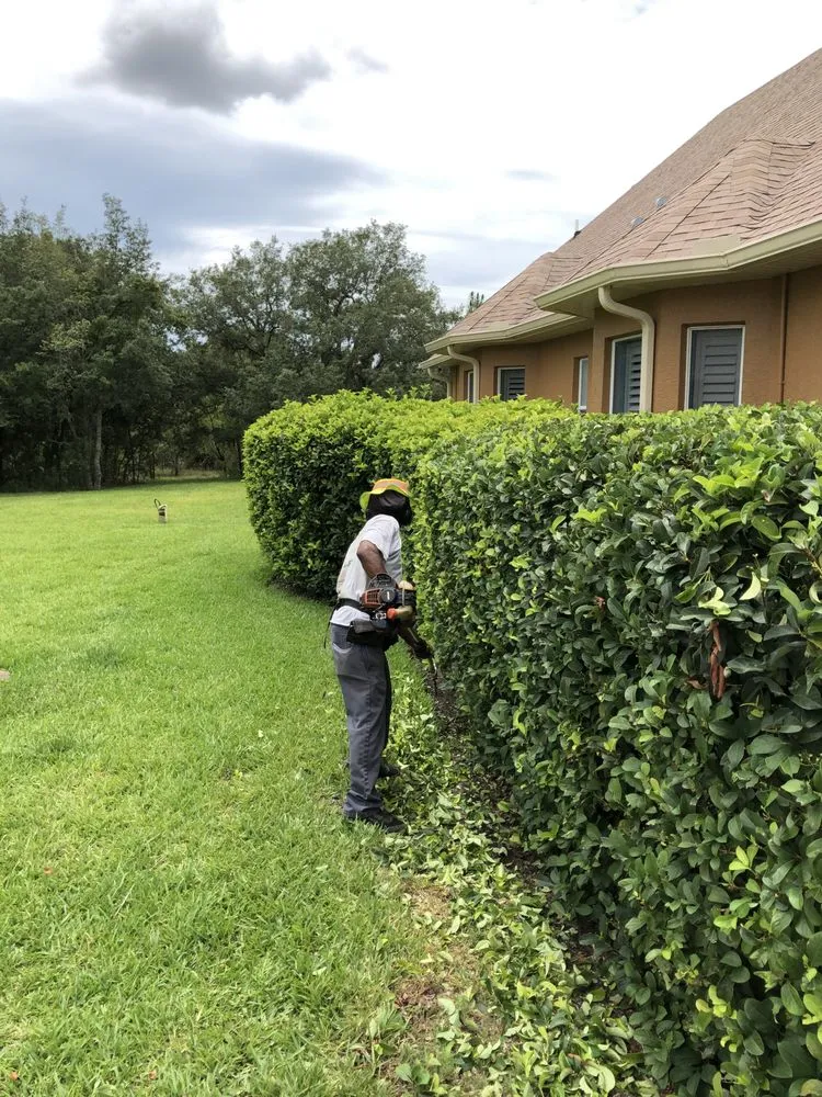 Expert yard cleanup service with custom design in Spring Hill, FL by Steve And Steven's Lawn Care Service