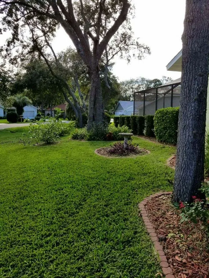 Reliable outdoor landscaping in Spring Hill, FL - Steve And Steven's Lawn Care Service