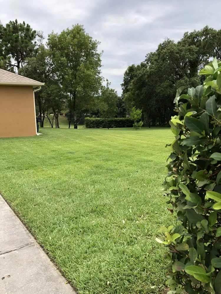 Professional outdoor landscaping experts serving Spring Hill, FL - Steve And Steven's Lawn Care Service