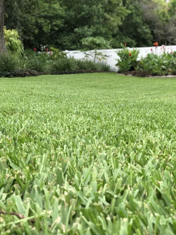 Affordable lawn mowing service for year-round maintenance in Spring Hill, FL by Steve And Steven's Lawn Care Service