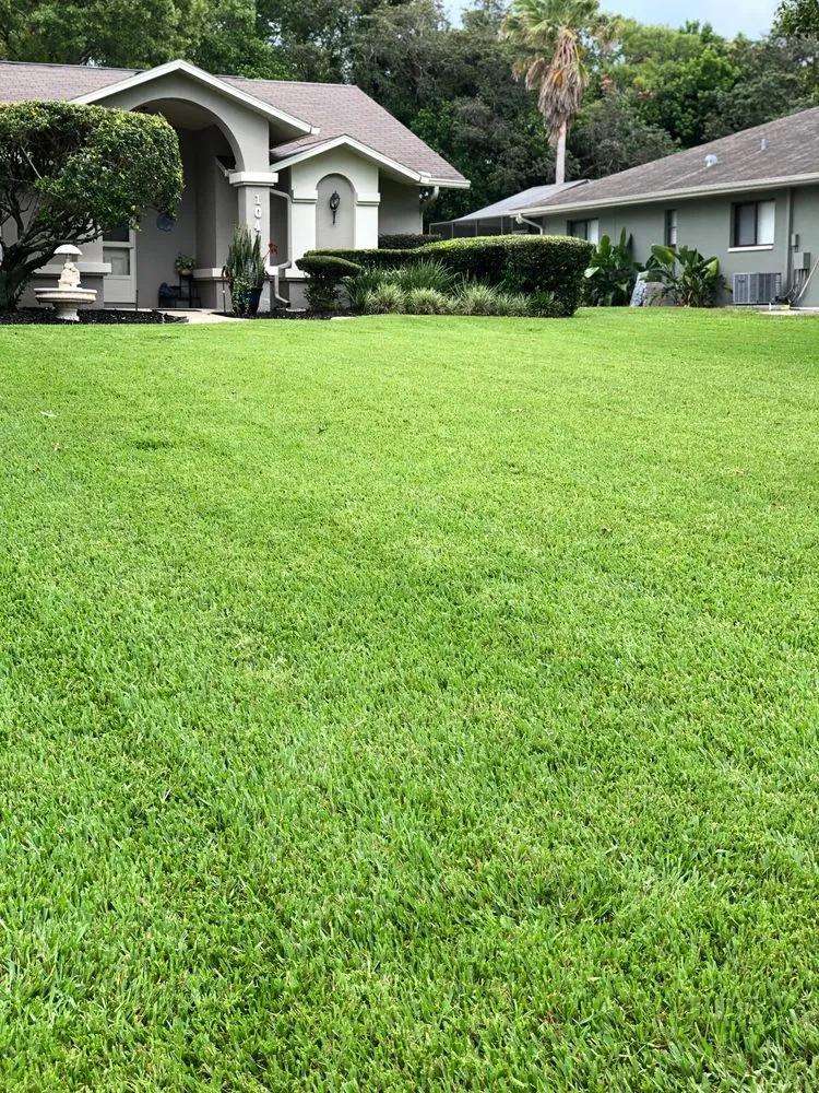 Reliable lawn care service in Spring Hill, FL by Steve And Steven's Lawn Care Service
